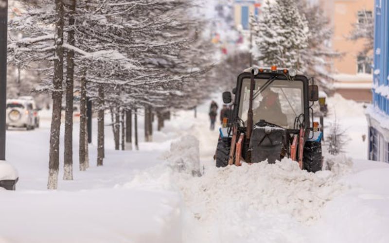 Snorojning Halkbekampning 1.jpg
