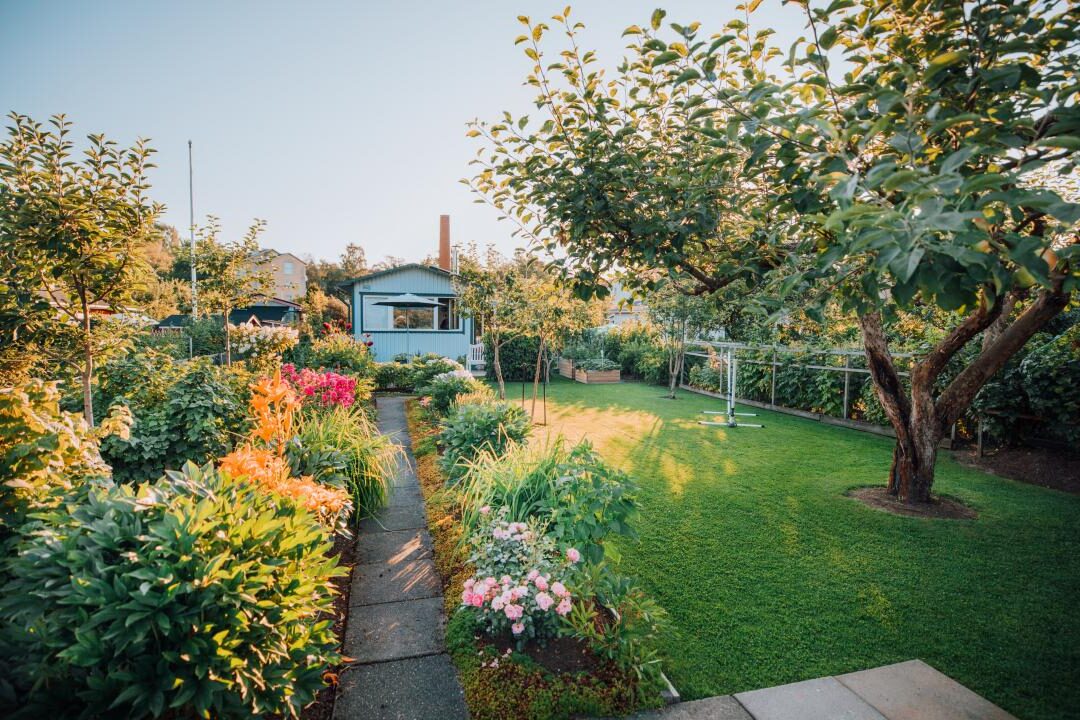 finplanering4 e1702380069127.jpg